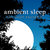 Ambient Sleep