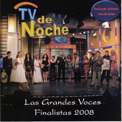 TV de Noche: Las Grandes Voces Finalistas 2008