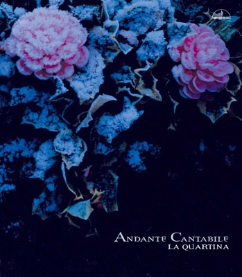 Andante Cantabile ~for 4 Cellos~