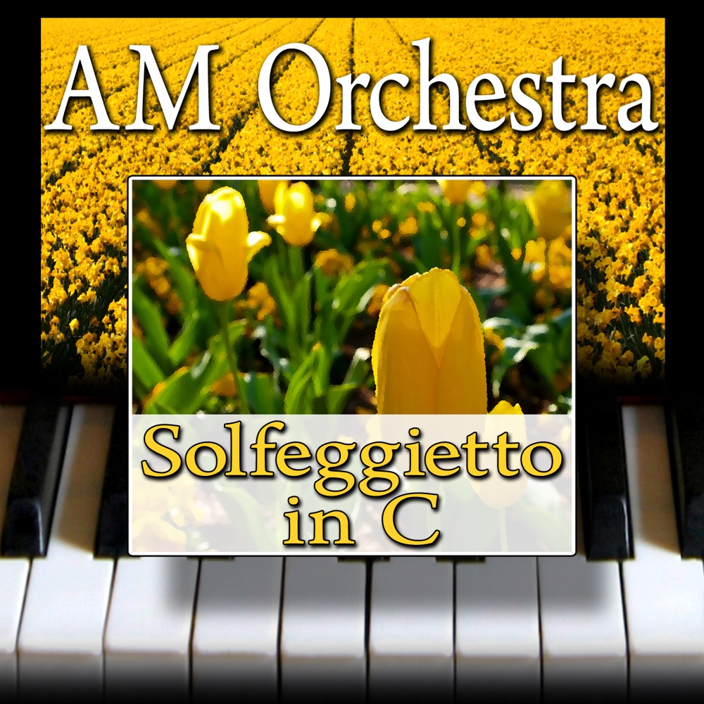 Обложка альбома «Solfeggietto in C - Single» — AM Orchestra