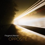 Observation (Flegma &amp; Nerso Remix)