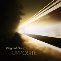 Observation (Flegma & Nerso Remix) — Suntree