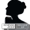 The Reminder: Deluxe EP, 2008
