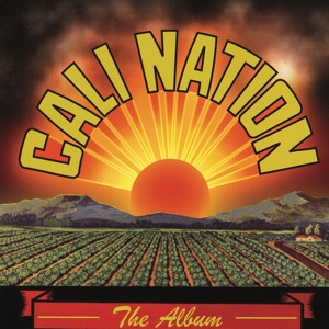 The Album