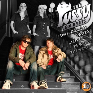 Love Is What You Need [feat. Darryl Pandy] [Popmuschi Remix]