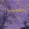 Too-Ra-Loo-Ra-Loo-Ral (an Irish Lullaby) - The Cary Brown Trio lyrics