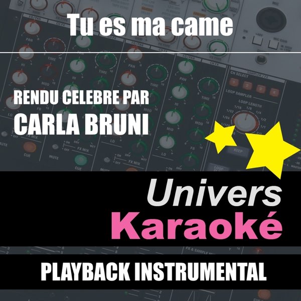 Альбом «Tu es ma came (Rendu célèbre par Carla Bruni) [Version karaoké] -  Single» — Univers Karaoké — Apple Music