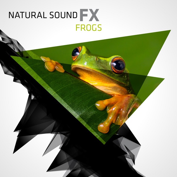 Natural Sound FX: Frogs