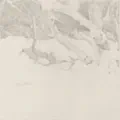 Periphescence