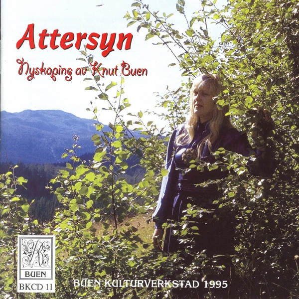 Attersyn