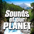 Sounds of Our Planet (Nature Sounds)