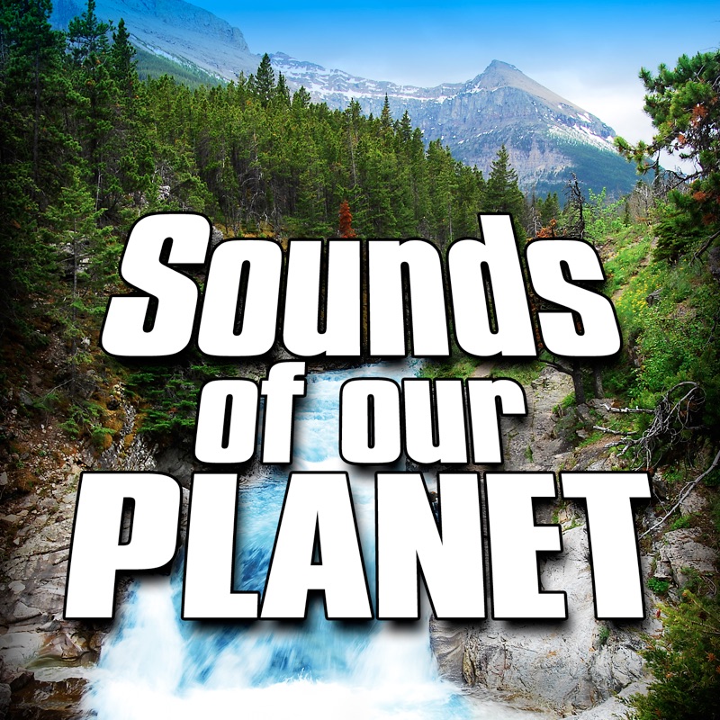 Sounds of Our Planet (Nature Sounds)