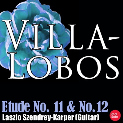Villa-Lobos: Etude No. 11 & No.12