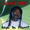 Free Jah Children