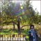 Kodachrome (Paul Simon Cover) - Emily Asen lyrics