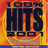 100% Hits 2001