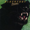 Blackfoot - In the Night