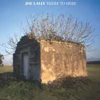 The Resigned — Joe Lally