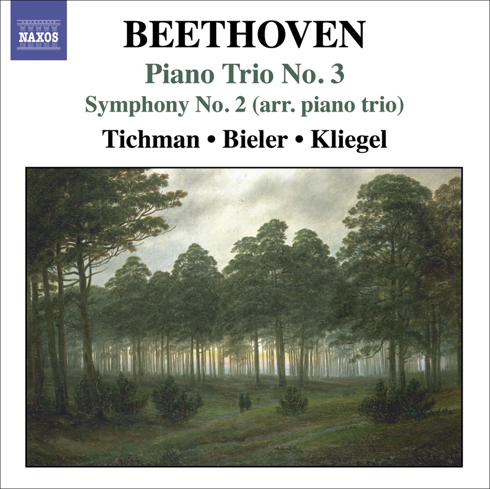 Обложка альбома «Beethoven: Piano Trios, Vol. 3 - Piano Trio No. 3 & Symphony No. 2 (Arr. For Piano Trio)» — Xyrion Trio