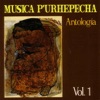 Musica Purhepecha, Vol. 1