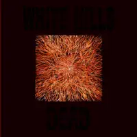 Oceans of Sound — White Hills
