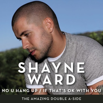 If That's Ok With You (Single Mix)