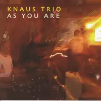 Tenderly — Knaus Trio
