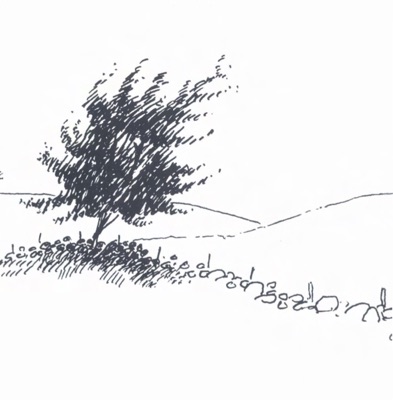 Time Passes in the Trees