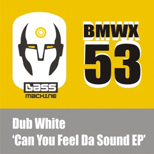 Can You Feel Da Sound