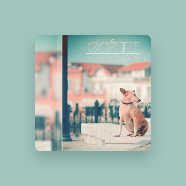 Elefant