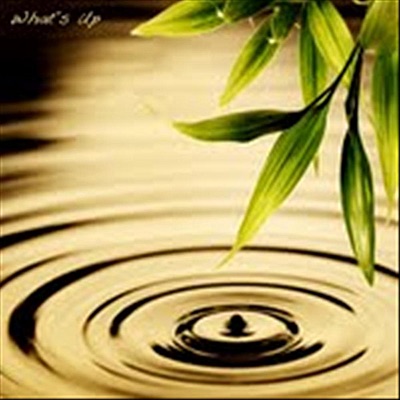 Letting Go (feat. Kuniko Asato) - Single