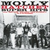 Molly Hatchet - Gator Country