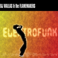 Electrofunk - DJ Wallas & The Flamemakers
