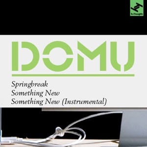 Springbreak / Something New - EP