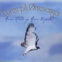 Augnestein