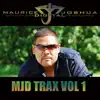 Maurice Joshua - This Is Acid (KnT Dance Mix)