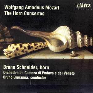 Concerto for Horn & Orchestra in E-Flat Major, K. 447: I. Allegro
