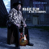 Magic Slim & The Teardrops - Spider In My Stew
