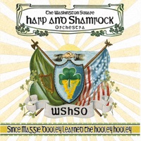 Since Maggie Dooley Learned the Hooley Hooley by The Washington Square Harp and Shamrock Orchestra on Apple Music