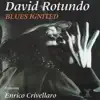 David Rotundo - Worries and Troubles (feat. David Rotundo)