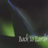 Reflection From The Unseen — Back To Earth