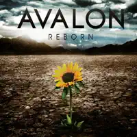 Arise — Avalon