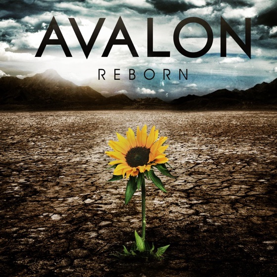 Cover artwork for Feel
