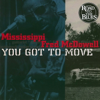 You Got To Move - Mississippi Fred McDowell new Single