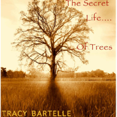 Cover art for Buddah's Tree (Extended Instrumental Version) by Tracy Bartelle