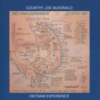Vietnam never again