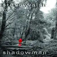 Rise — Steve Walsh