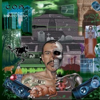 Organic Brainstorm - C.O.S.