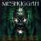 Sane - Meshuggah lyrics