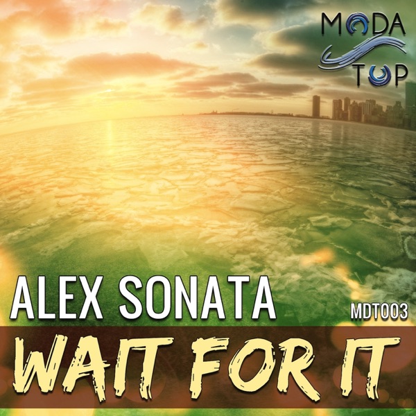 Wait for It - Single